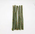 Austree Hybrid Willow Tree Cuttings - 20 Fast Growing, Aussie Variety for Direct Planting - Salix x sepulcralis