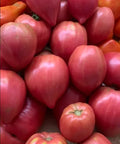 Heirloom Tomato Seeds - Coure di Bue Oxheart - Non-GMO - 50 Seeds - Indeterminate Variety