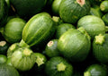 Zucchini Round Seeds 20 Ct Non-GMO Summer Vegetable Cucurbita pepo - USA Free Shipping