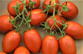 Roma Tomato Seeds 200+ Non-GMO Seeds for Planting, Heirloom Variety, Perfect for Home Gardens - Solanum lycopersicum