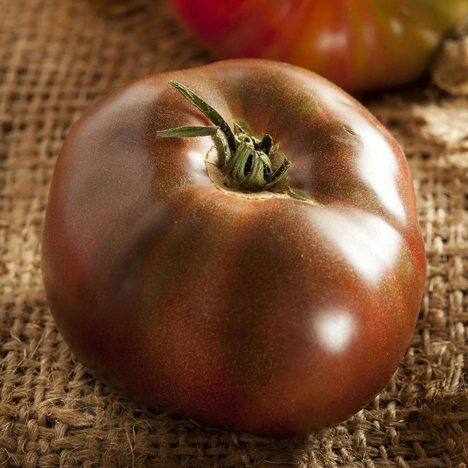 Heirloom Tomato Seeds - Black Brandywine Potato Leaf Beefsteak - 50 Seeds - Indeterminate Variety