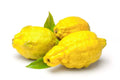 Citron Lemon Seeds - 5+ Pack for Garden Planting - Citrus medica - USA Grown