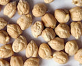 Garbanzo Bean Seeds - 1 oz - Organic Chickpeas for Planting, Cicer arietinum