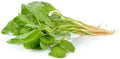 Green Amaranth Spinach Seeds - 100+ Edible Seeds for Planting (Amaranthus viridis) - Healthy Variety for Home Garden