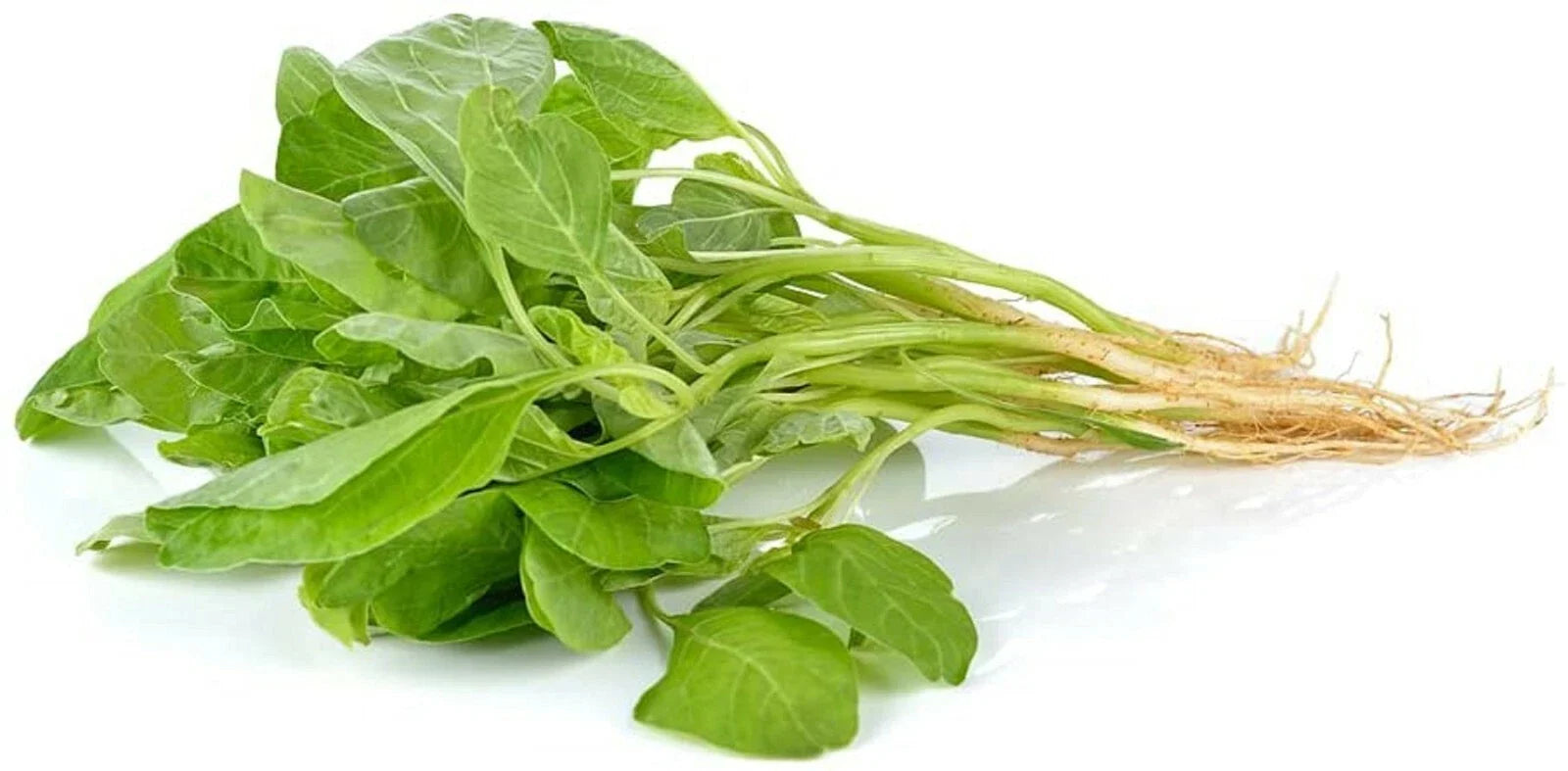 Green Amaranth Spinach Seeds - 100+ Edible Seeds for Planting (Amaranthus viridis) - Healthy Variety for Home Garden