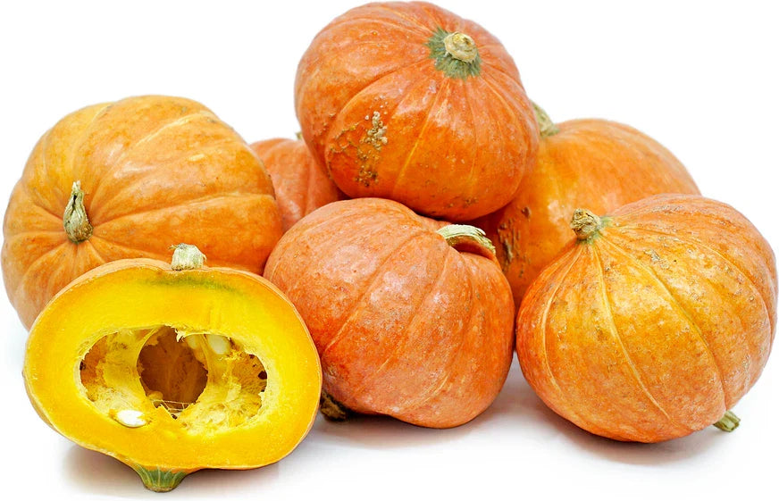 Gold Nugget Squash Seeds | Fresh Organic Seeds for Planting | Cucurbita pepo