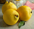 20 Common Quince Seeds, Sweet Edible Fruits, Cydonia oblonga, Fruit Tree Seeds for Home Garden