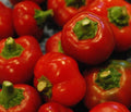 Red Cherry Pepper Seeds 50+ Pack, Hot Pepper Variety, Non-GMO, Capsicum annuum