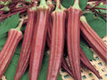 Red Burgundy Okra Seeds - Fresh Organic Seeds for Home Gardening - Abelmoschus esculentus