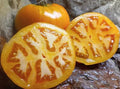 Golden Jubilee Tomato Seeds - 10+ Heirloom Organic Non-GMO Seeds - Perfect for Home Gardening