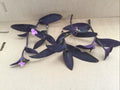 Purple Jade Cuttings 6 Pack, Easy to Grow Purple Perennial Plant, Crassula Ovata var. Gollum