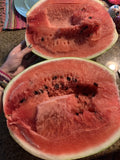 Watermelon Seeds - 15 Organic Non-GMO Homegrown Edible Melon Seeds - TX Garden Variety (Citrullus lanatus)