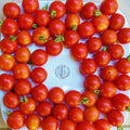 Large Red Cherry Seeds - 25 Fresh Seeds - Heirloom Variety - Solanum lycopersicum