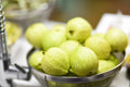 Lemon Guava Seeds - 20+ Seeds - Psidium guajava - Tropical Fruit Plant