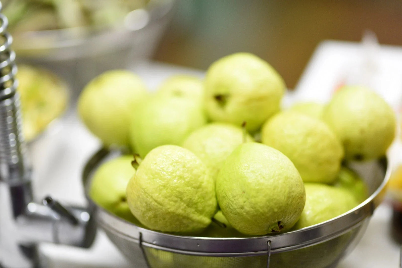 Lemon Guava Seeds - 20+ Seeds - Psidium guajava - Tropical Fruit Plant