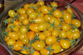 Yellow Pear Tomato Seeds - 60+ Heirloom Non-GMO Seeds - Fresh Organic Variety - Solanum lycopersicum