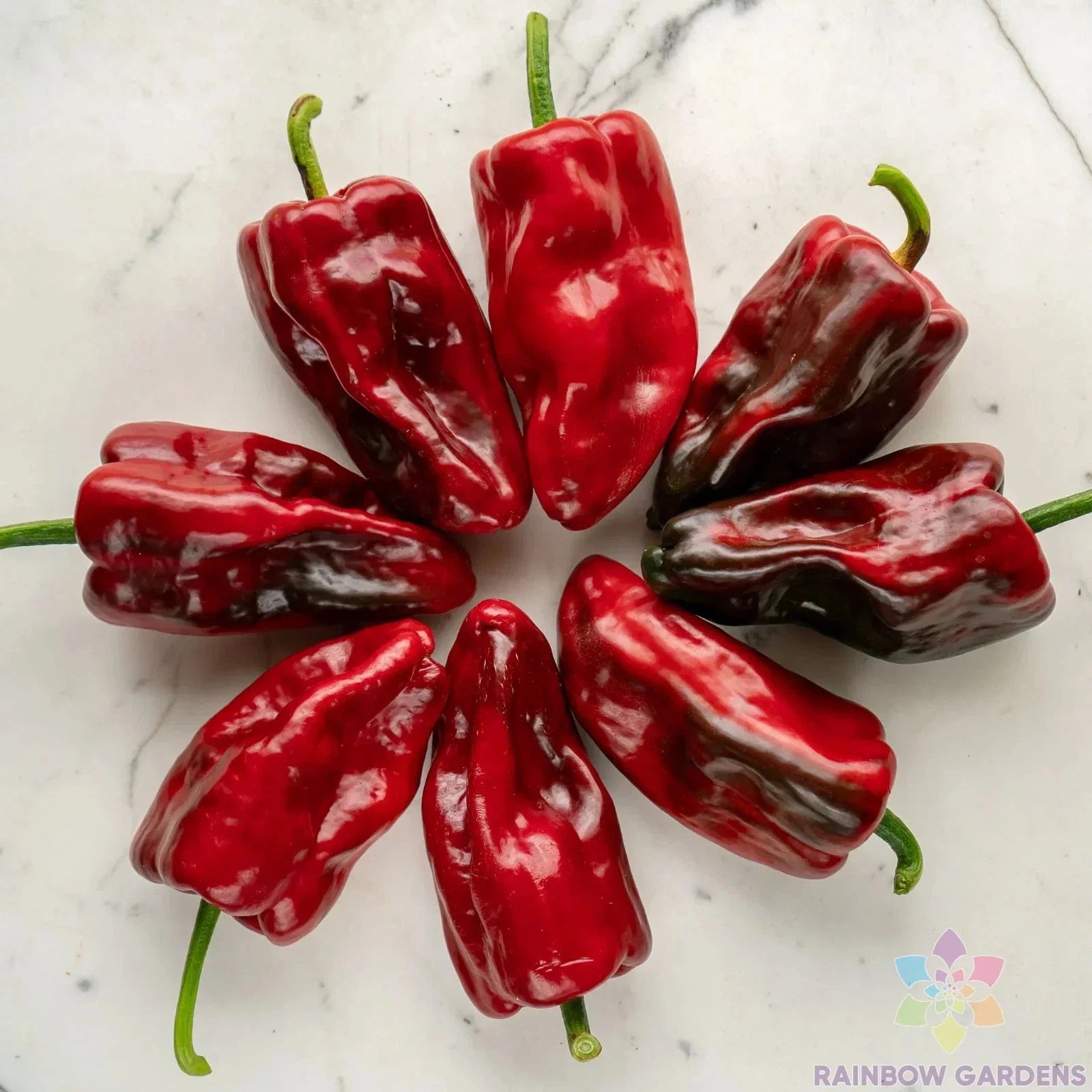 Poblano Sweet Pepper Seeds - 25+ Count - Heirloom Variety - Capsicum annuum - USA Grown, Free Shipping