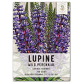Wild Perennial Lupine Seeds for Planting - Lupinus perennis - Blue Flowering Native Plant Seeds
