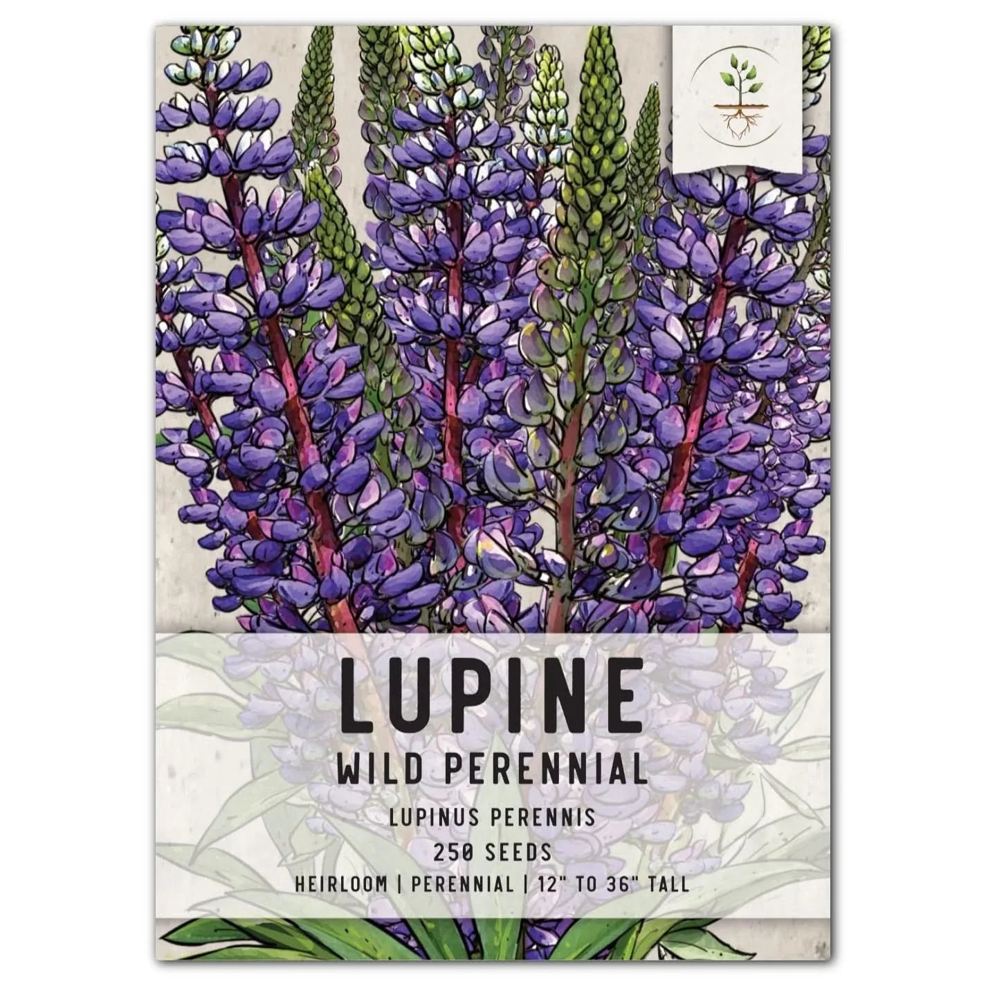 Wild Perennial Lupine Seeds for Planting - Lupinus perennis - Blue Flowering Native Plant Seeds