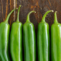 Serrano Pepper Seeds - 23,000 Scoville - Mexican Verde Green - Perfect for 2025 Planting - Capsicum annuum