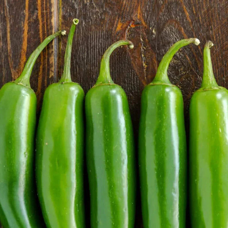 Serrano Pepper Seeds - 23,000 Scoville - Mexican Verde Green - Perfect for 2025 Planting - Capsicum annuum