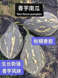 Taro Flavor Pumpkin Seeds - 10+ XiangYu Nangua Chinese Winter Squash - Heirloom Variety - USA Grown
