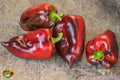 Hungarian Black Sweet Pepper Seeds - 25+ Pack for Garden - Capsicum annuum - USA Grown - Non-GMO