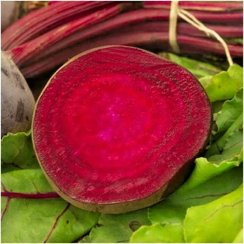 Bulls Blood Beet Seeds - 100+ Heirloom Vegetable Seeds for Garden & Patio - Beta vulgaris