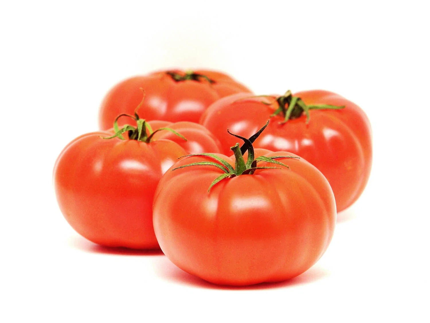 Beefsteak Tomato Seeds - Fresh Heirloom Seeds for Gardening - Solanum lycopersicum