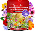 Wildflower Seeds Bulk - 85,000 Count, 35 Varieties, Annual & Perennial Mix, Native Wildflowers for Gardens (Various Species)