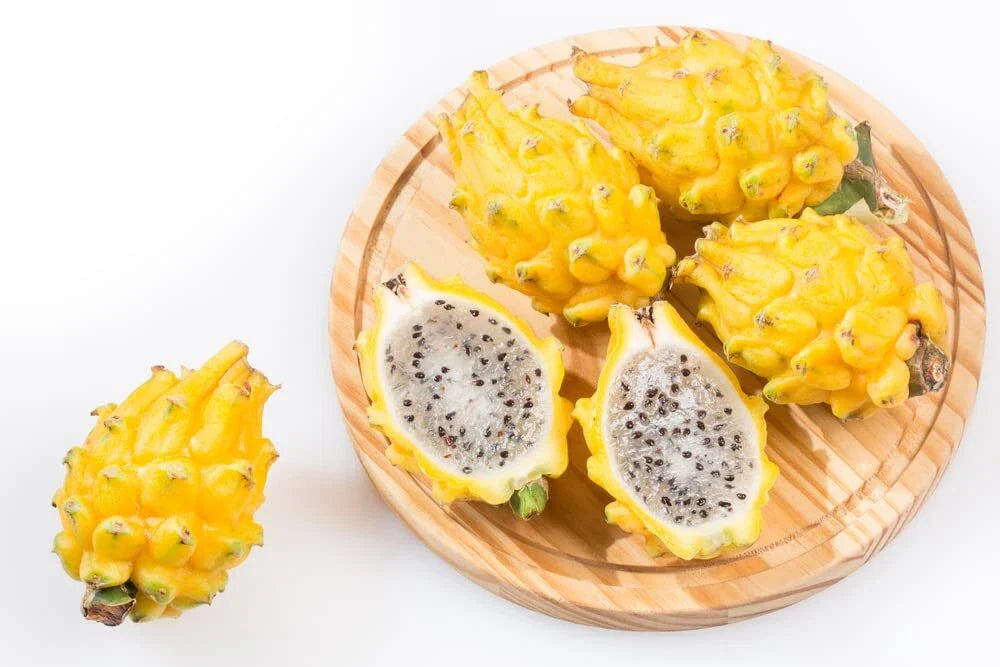 Yellow Dragon Fruit Seeds (30 Seeds) - Rare Exotic Fruit for Planting - Hylocereus megalanthus