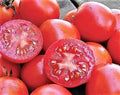 Siberian Tomato Seeds 120+ Pack - Organic Heirloom, Non-GMO - Fresh Tomato Seeds for Gardening
