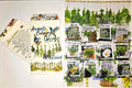 Culinary Garden Herb Seeds Variety Pack 12+ Count Heirloom Fresh Seeds + Bonus Seeds for Home Gardening