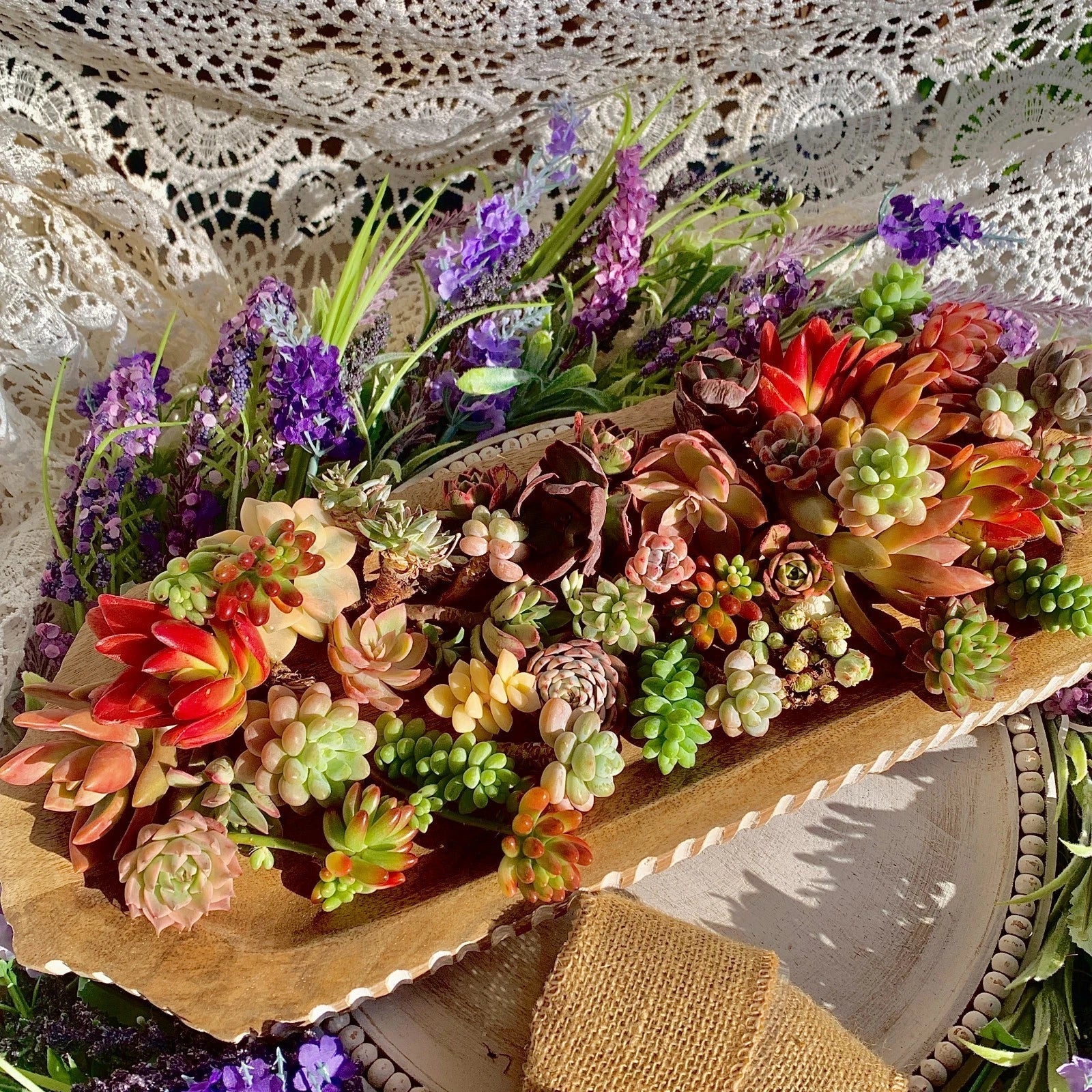 Succulent Cuttings 12-Pack Green Live Plants - 0.5"-1.5" Imported Succulents for Propagation and Crafting