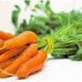 Carrot Seeds, Non-GMO, Little Finger Variety, 50+ Seeds, Daucus carota