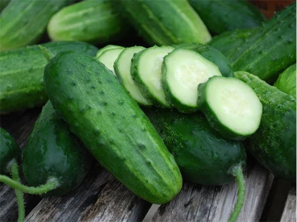 Cucumber Seeds - Boston Pickling Variety - Fresh Heirloom Seeds - Cucumis sativus
