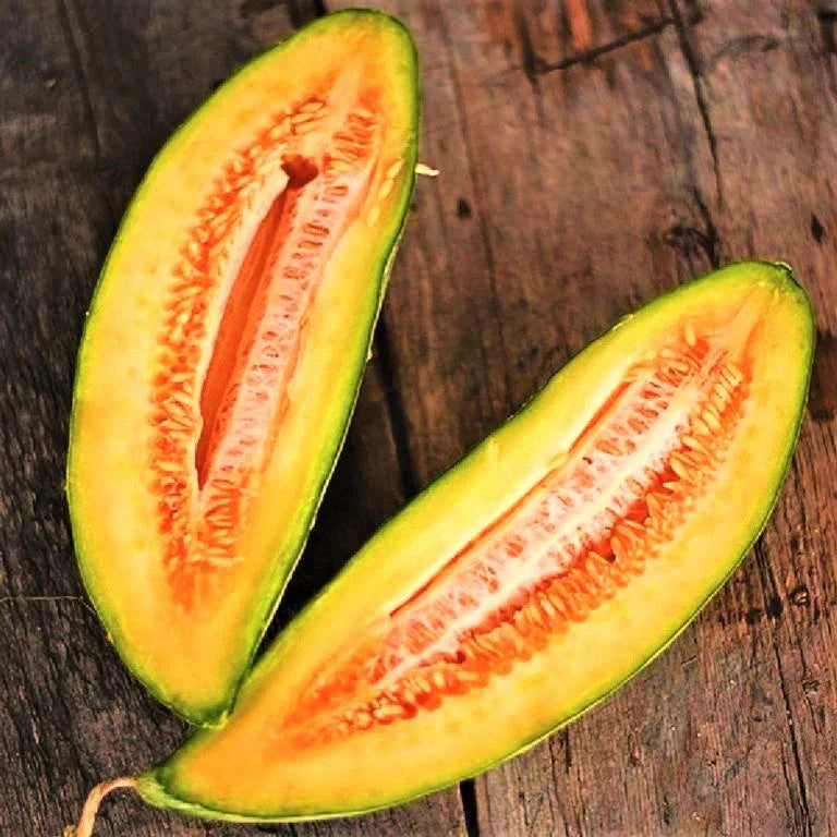 Banana Cantaloupe Seeds - 50+ Count - Heirloom Cucumis Melo for 2025 Planting