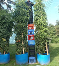 Bulk Tomato Tree Seeds - Tallest Variety, Large Heavy Yield - Easy Picking (Lycopersicon esculentum)