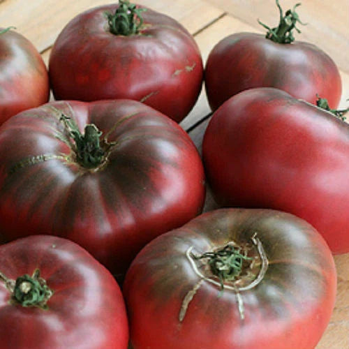 Cherokee Purple Tomato Seeds | Heirloom Non-GMO | 1022