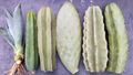 Mixed Cactus Tip Cuttings 5 Pack 10–11.5 Inch Unrooted Variety Desert Cactus Starter for Propagation