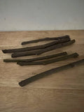 LSU Purple Fig Cuttings (6) - Fresh Hardwood Cuttings for Propagation - Ficus carica