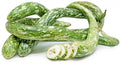 Speckled Snake Gourd Seeds (10 Seeds) - Grow Exotic 3 Foot Long Gourds, Luffa cylindrica