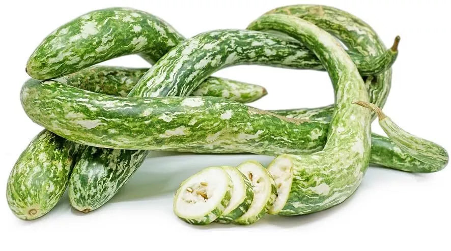 Speckled Snake Gourd Seeds (10 Seeds) - Grow Exotic 3 Foot Long Gourds, Luffa cylindrica