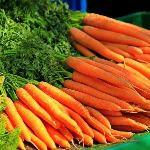 Tendersweet Carrot Seeds - 200+ Non-GMO Heirloom Organic Seeds - Fresh and Delicious (Daucus carota)