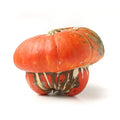 Turks Turban Squash Seeds - 25+ Pack for Garden Planting - Cucurbita maxima - USA