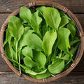 Astro Arugula Seeds - Heirloom Non-GMO - Organic Salad Greens - Eruca sativa - Seed Store