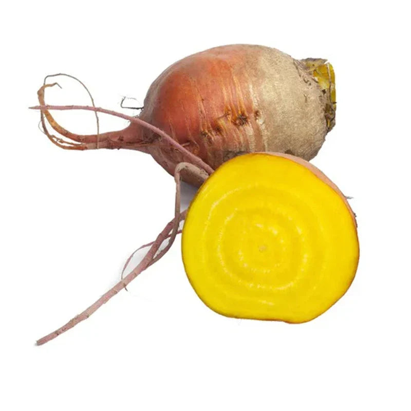 Golden Beet Seeds | Heirloom Non-GMO Seeds | Fresh Garden Seeds | Beta vulgaris