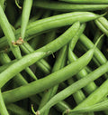Heirloom Strike Bean Seeds 50 Ct - Bush Pod Green Vegetable Garden - Non-GMO (Phaseolus vulgaris)