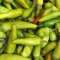 Pepperoncini Seeds 25+ MILD Italian Heirloom Non-GMO Vegetable Capsicum annuum