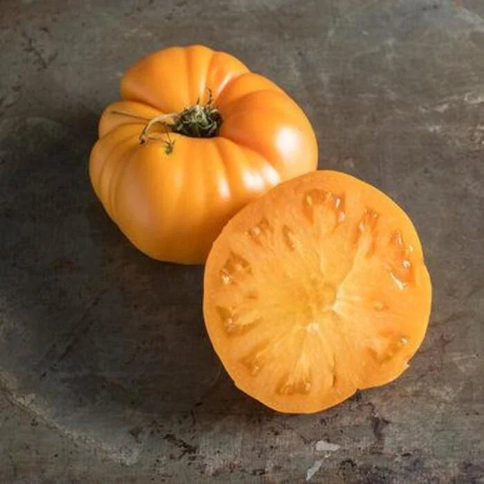 Yellow Brandywine Tomato Seeds - 30+ Heirloom Organic Non-GMO - Solanum lycopersicum